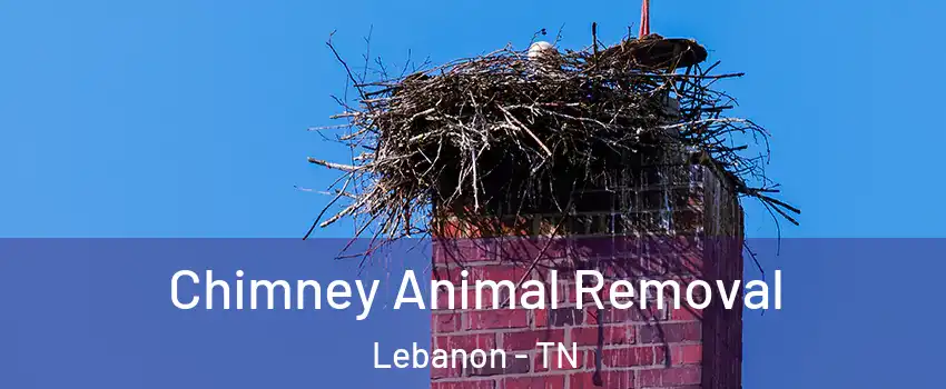 Chimney Animal Removal Lebanon - TN