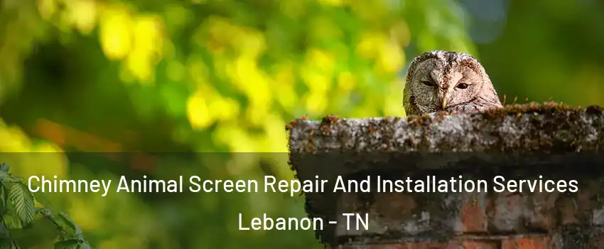  Chimney Animal Screen Repair And Installation Services Lebanon - TN
