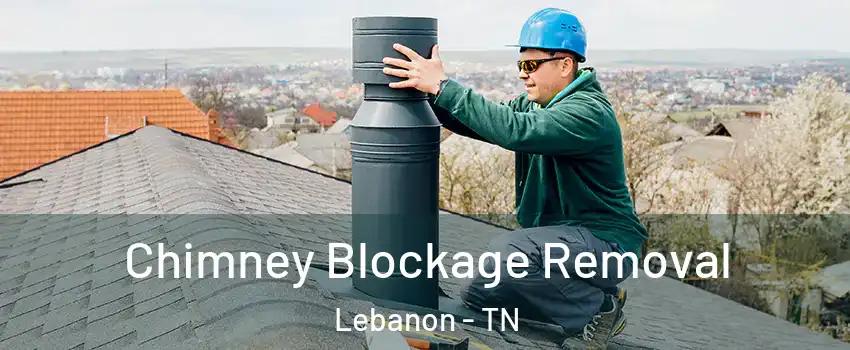  Chimney Blockage Removal Lebanon - TN