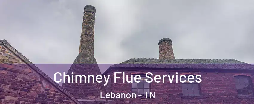  Chimney Flue Services Lebanon - TN