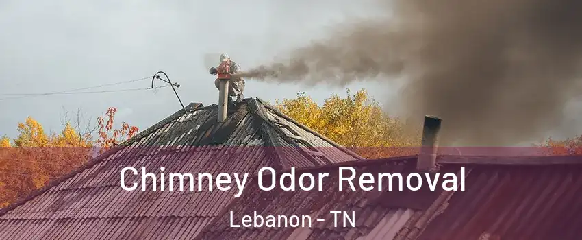  Chimney Odor Removal Lebanon - TN