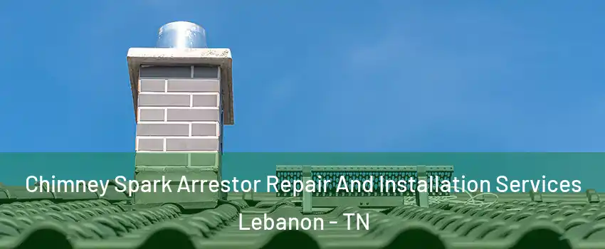  Chimney Spark Arrestor Repair And Installation Services Lebanon - TN