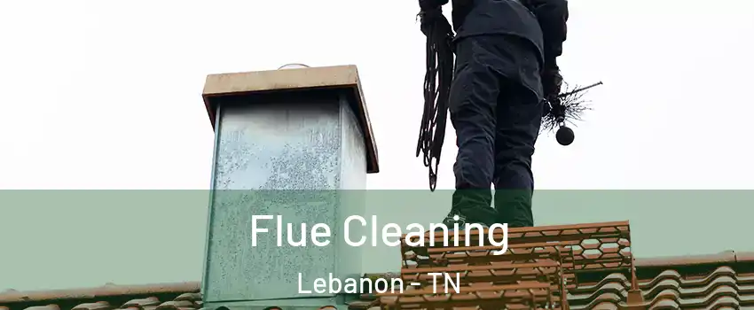  Flue Cleaning Lebanon - TN