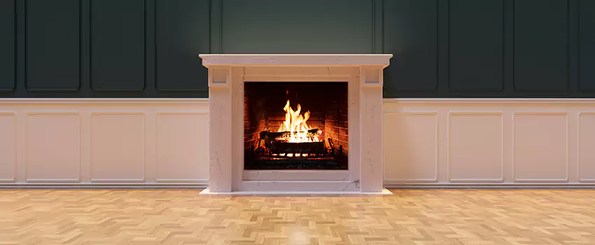 Napoleon Electric Fireplaces Inspection Service in Lebanon, Tennessee