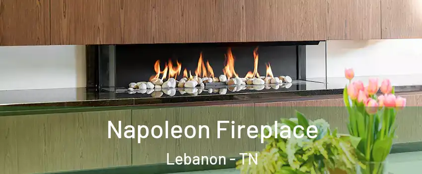  Napoleon Fireplace Lebanon - TN